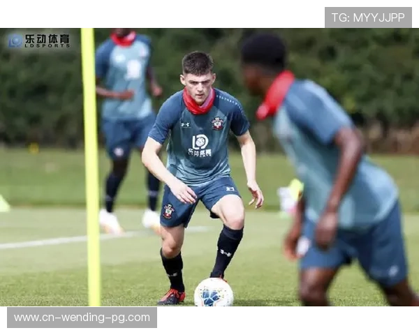 南特俱乐部重塑辉煌之路探索从青训到顶级联赛的战略布局